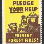 3beadcf48b86ca16d63d65e89705f2cb