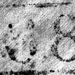 e49080488ad1c01f2dc0185986829eb0