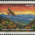 1372ed5df26c66a259cba18bd9283134