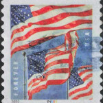 8fc103f6c45109b54989f24bdb173c17