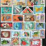 7d87a1a49a6702acfb95015707546ddf